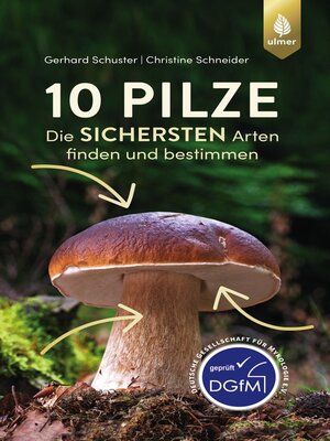 cover image of 10 Pilze